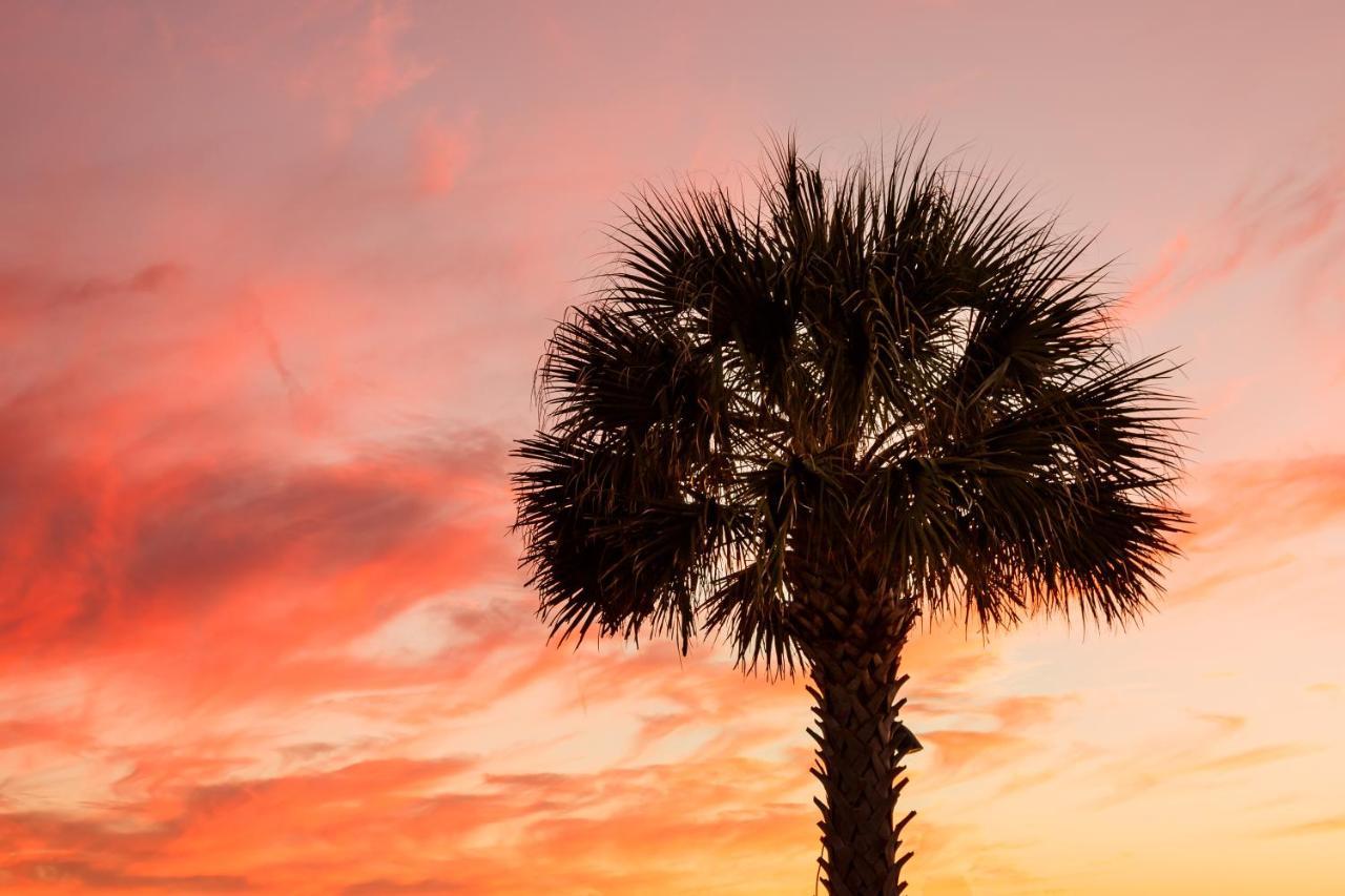 1314 Pelican Watch - Seabrook Island - Beachfront 5 Star Condo - Fido Friendly Esterno foto