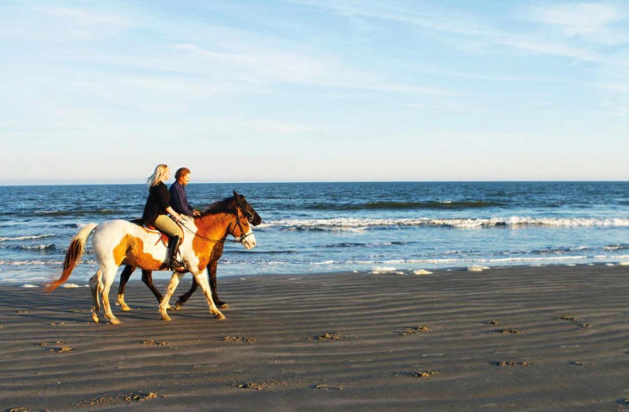 1314 Pelican Watch - Seabrook Island - Beachfront 5 Star Condo - Fido Friendly Esterno foto